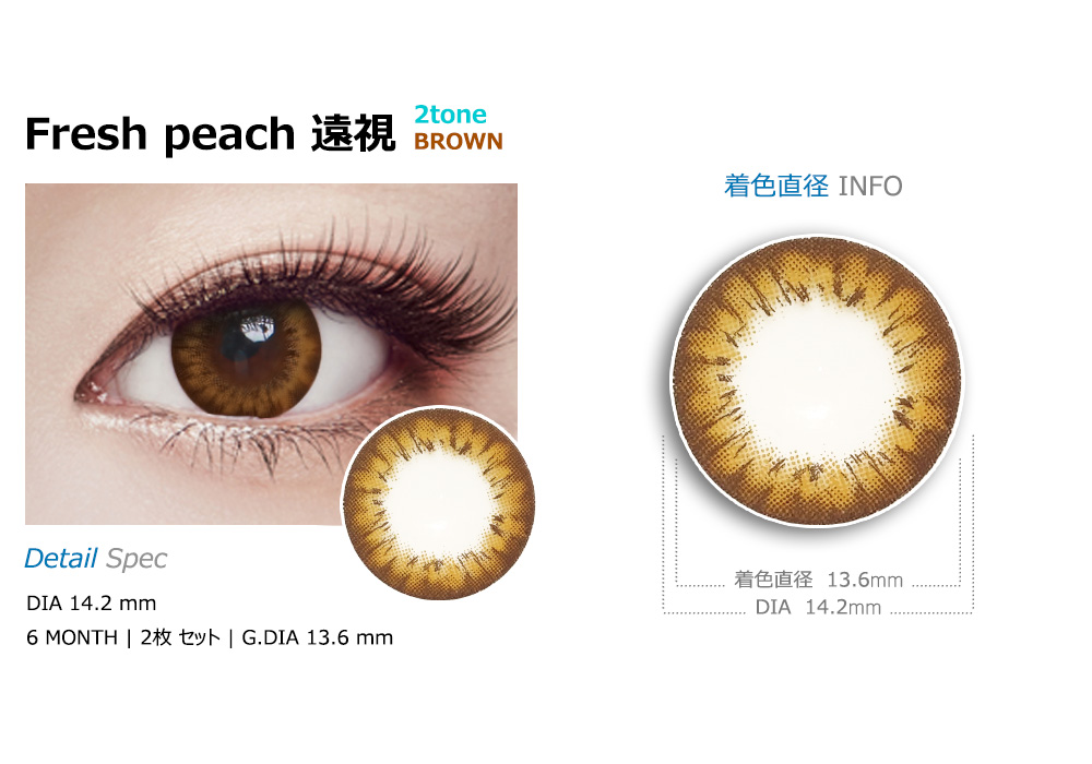 [Hyperopia/6-Month] Fresh peach 2tone Hyperopia Brown (2pcs)