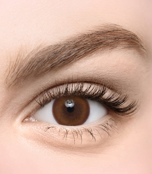 [Select Period] Torica Aida Hazel2