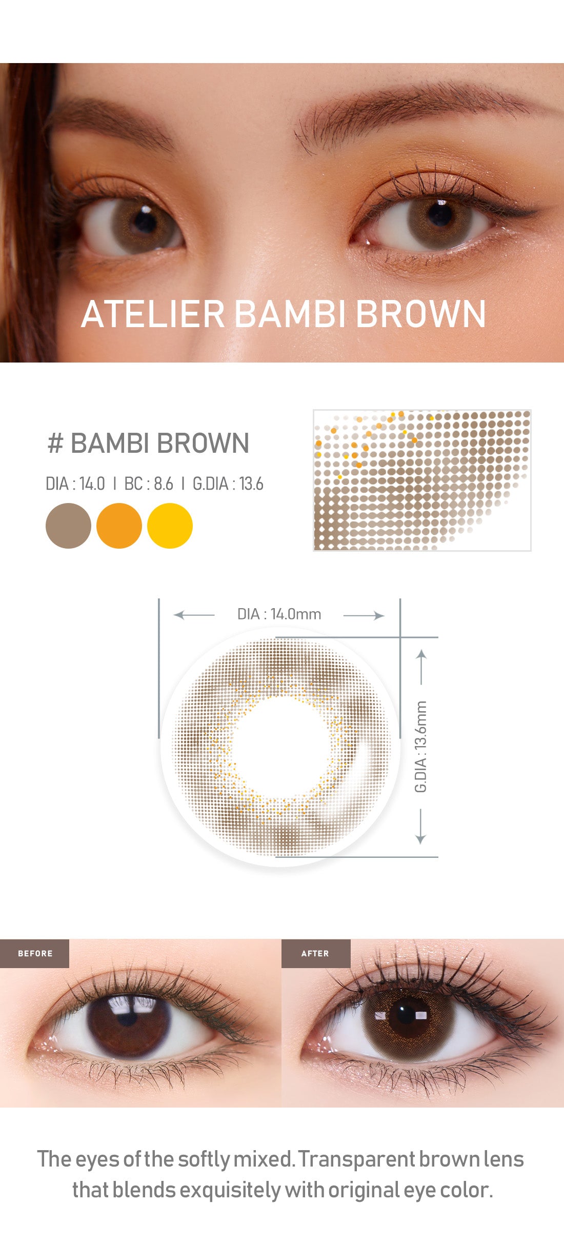 [Toric/Select Period] Torica Bambi Brown