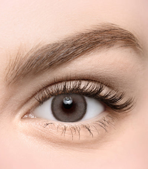 [Toric/Select Period] Torica Blonty Dark Brown2