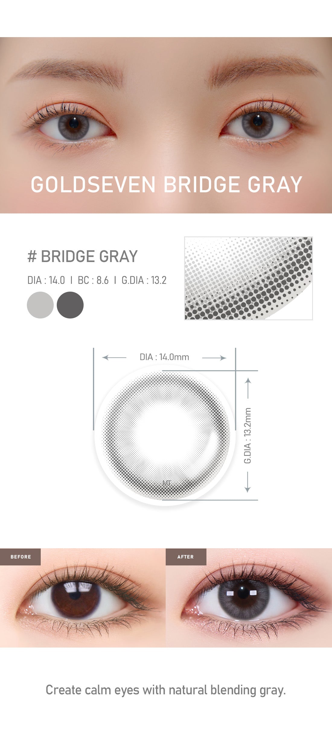 [Toric/Select Period] Torica Bridge Gray