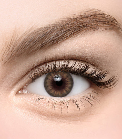 [Toric/Select Period] Torica Customlook No.03 Brown2