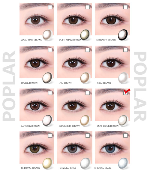 [Select Period] Torica Dew Beige Brown5