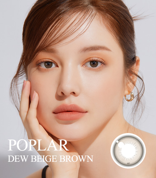[Toric/Select Period] Torica Dew Beige Brown