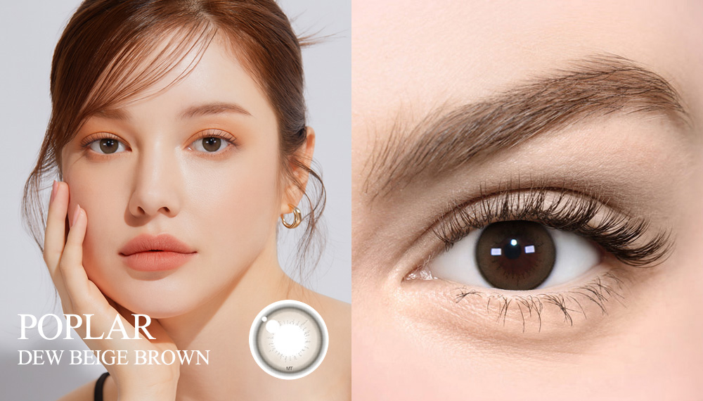 [Toric/Select Period] Torica Dew Beige Brown