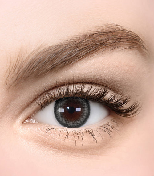 [Toric/Select Period] Torica Eye four cat Gray2