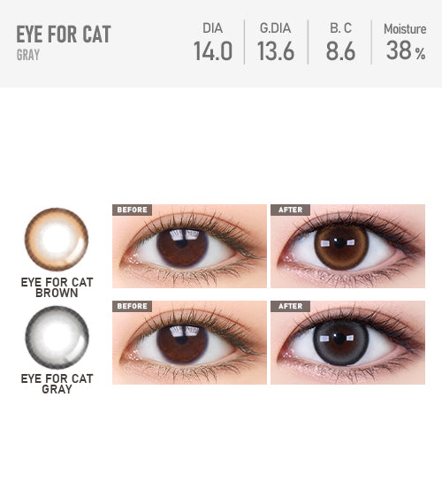 [Toric/Select Period] Torica Eye four cat Gray5