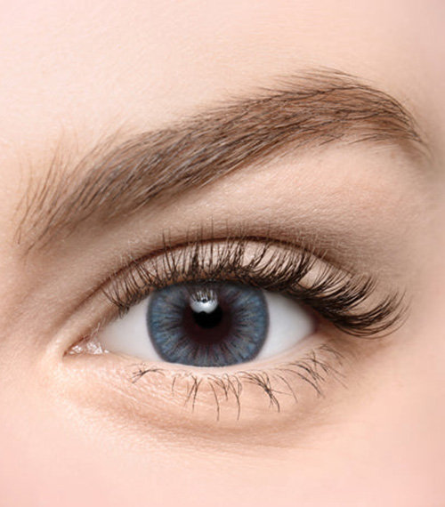 [Select Period] Torica Eyegee Choco2