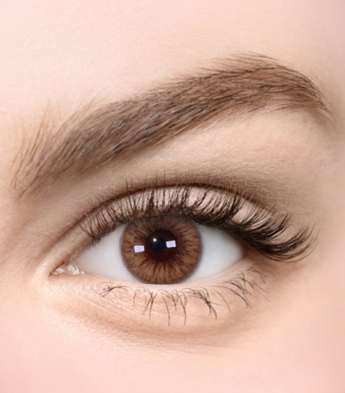 [Select Period] Torica Eyegee Brown2