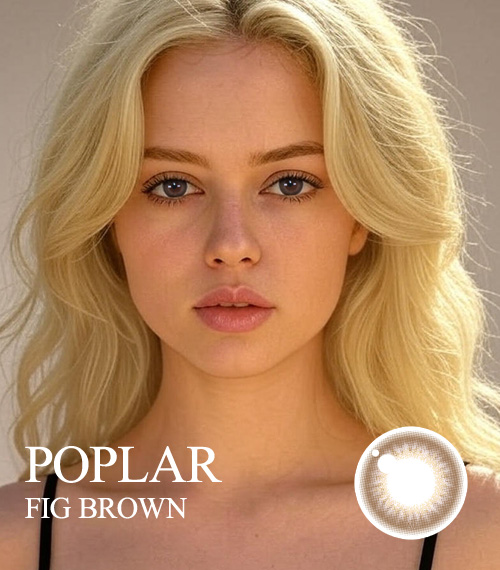 [Select Period] Torica Fig Brown