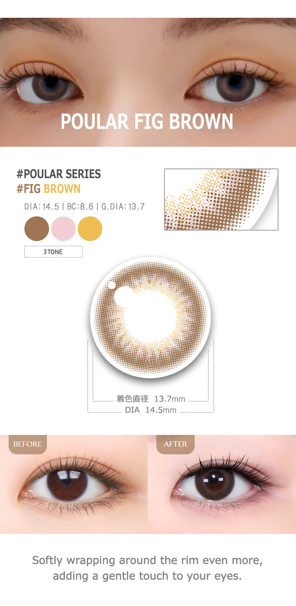 [Select Period] Torica Fig Brown