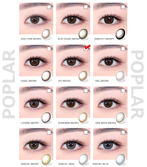 [Select Period] Torica Fig Brown5