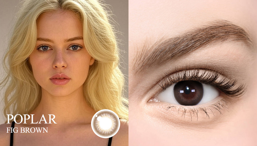 [Toric/Select Period] Torica Fig Brown