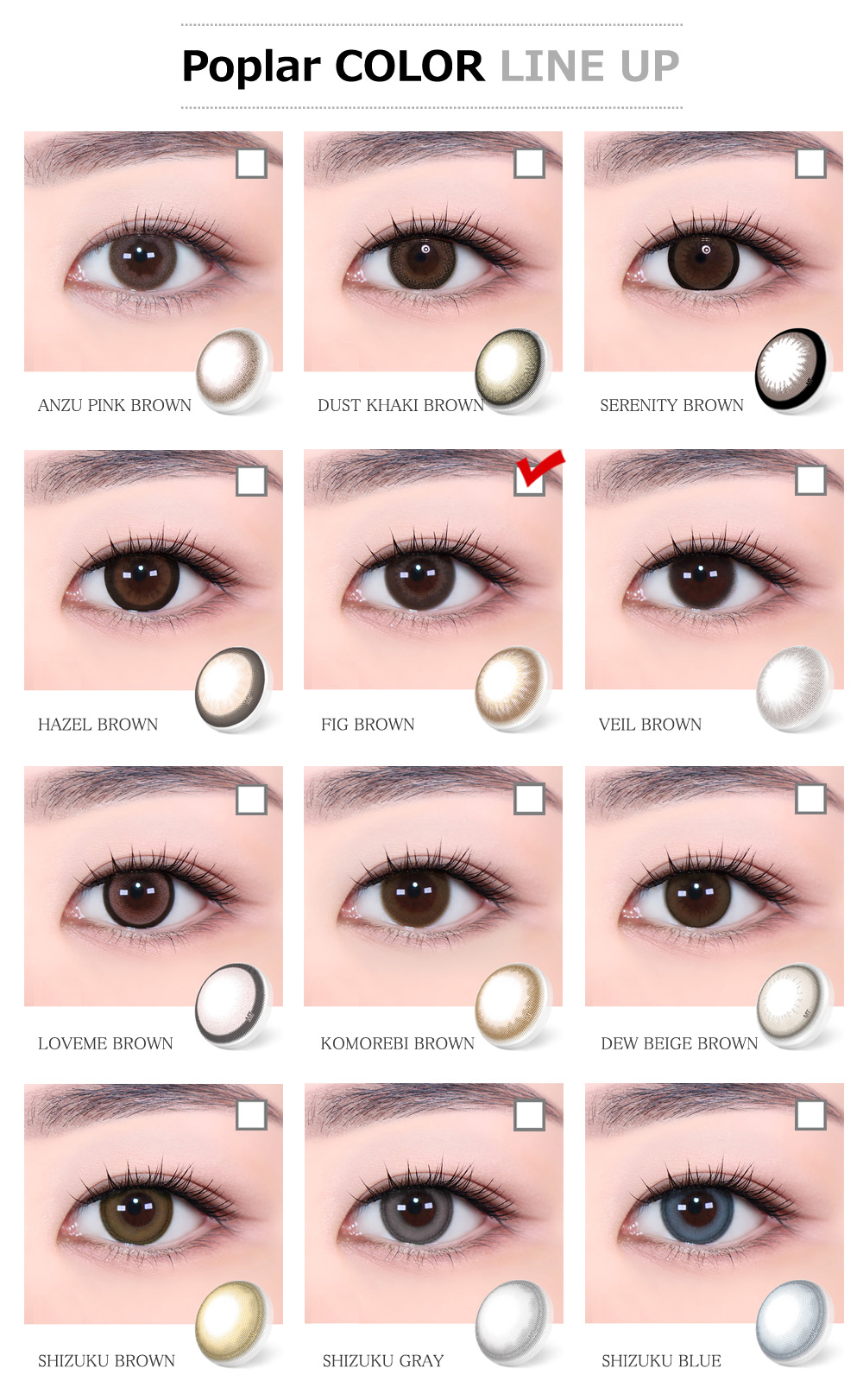 [Toric/Select Period] Torica Fig Brown