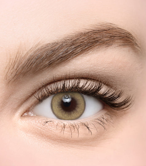 [Select Period] Torica Flexfit Toneup Brown2