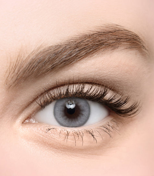 [Select Period] Torica Flexfit White Gray2