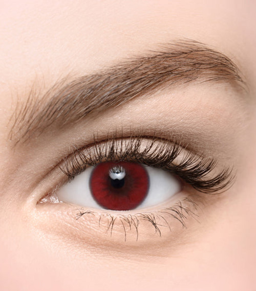 [Select Period] Torica Flexfit Deep Red2