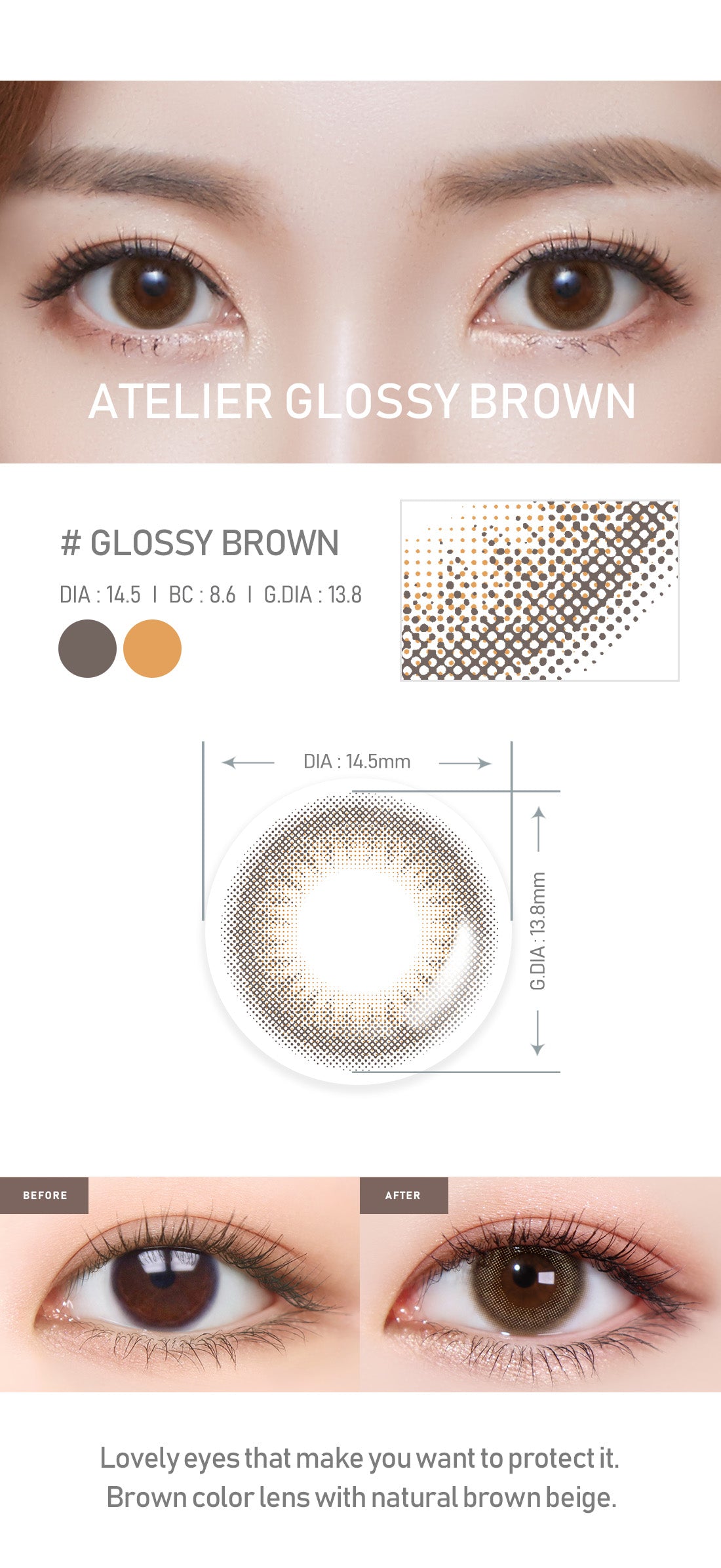 [Toric/Select Period] Torica Glossy Brown