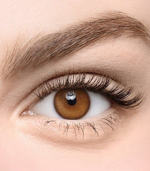 [Select Period] Torica Hidden Pearl Brown2