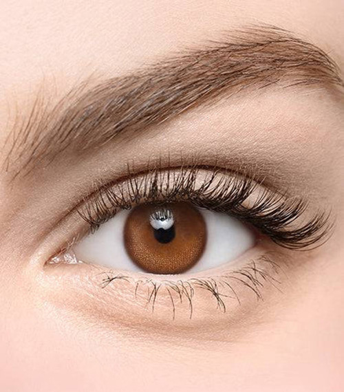 [Toric/Select Period] Torica Hidden Pearl Choco2