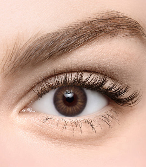 [Select Period] Torica Iris Brown2