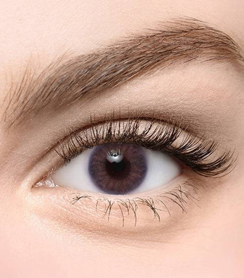 [Toric/Select Period] Torica Iris Purple2