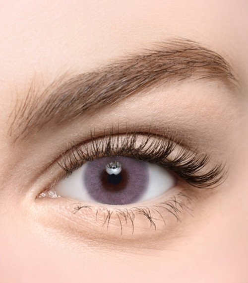 [Toric/Select Period] Torica Kahlua Rose2