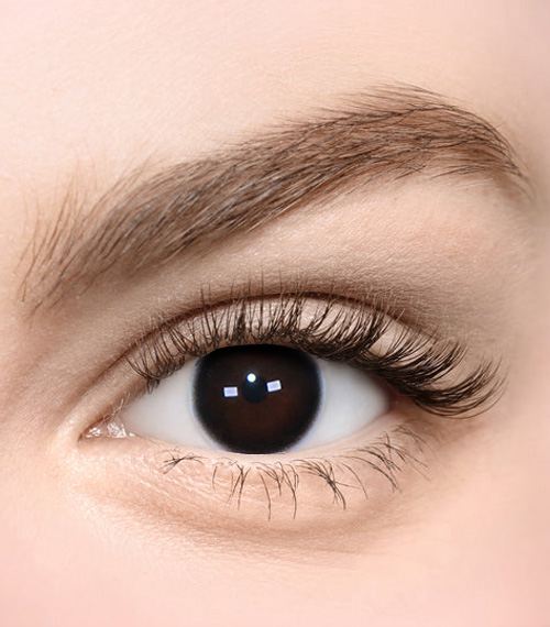 [Toric/Select Period] Torica Nuo Black2