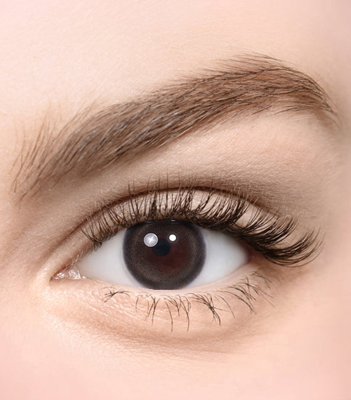 [Select Period] Torica Pandeia Gray2