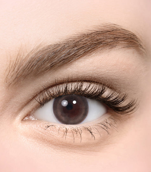 [Toric/Select Period] Torica Pandeia Beige2