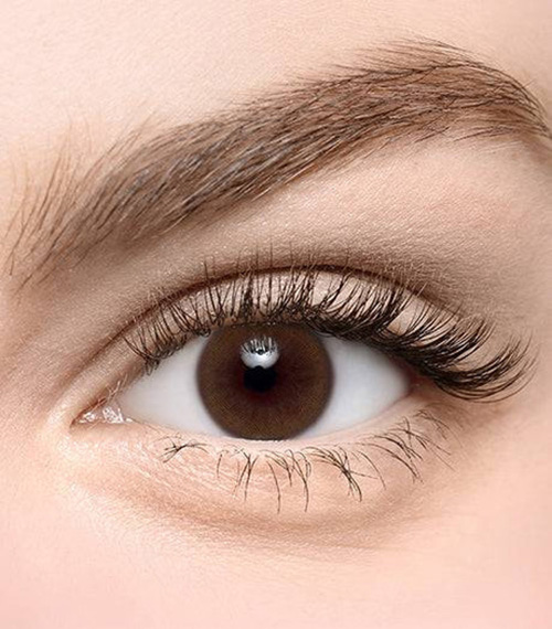 [Toric/Select Period] Torica Real Brown2