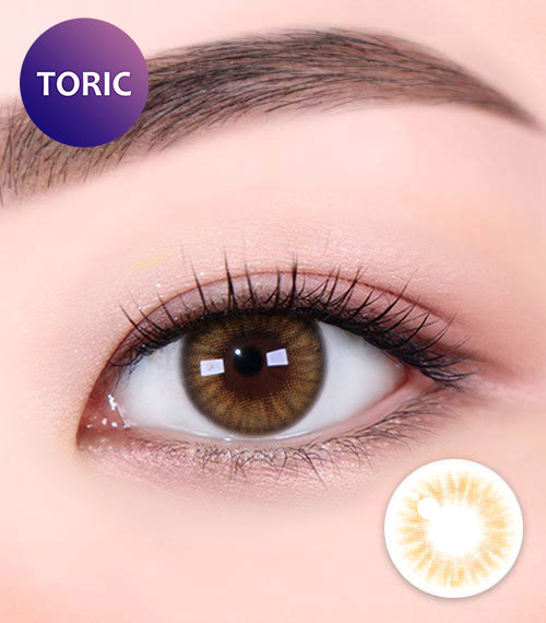 [Toric/Select Period] Torica Realfit Brown