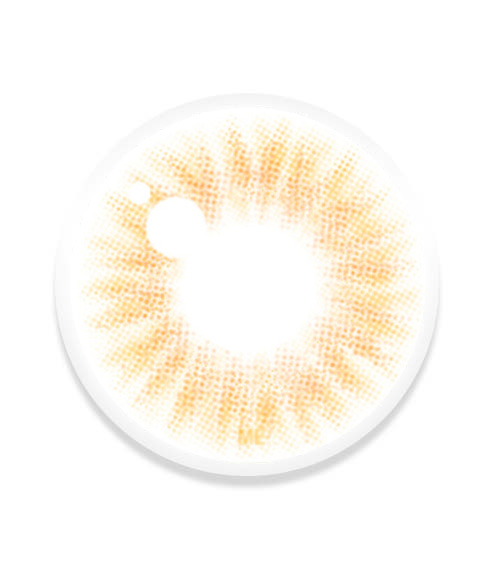 [Toric/Select Period] Torica Realfit Brown4