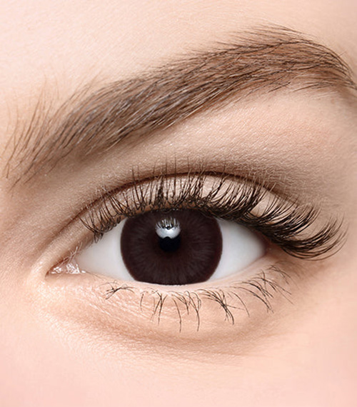 [Toric/Select Period] Torica Romeo Dark Brown2