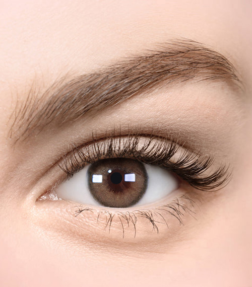 [Select Period] Torica Rozze Beige Brown2