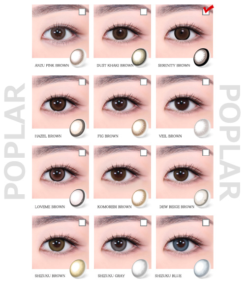 [Toric/Select Period] Torica Serenity Ash Brown5