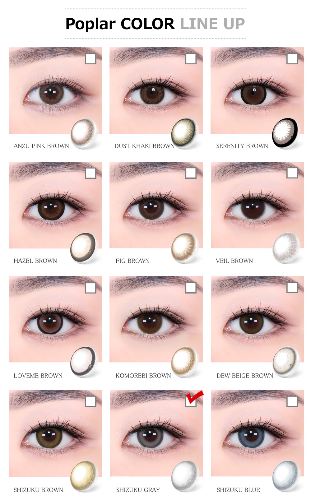 [Toric/Select Period] Torica Shizuku Gray