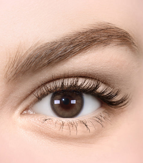 [Select Period] Torica Sister Choco Brown2