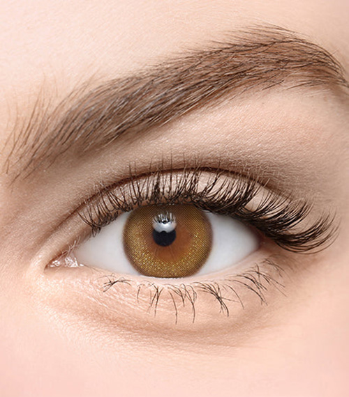 [Toric/Select Period] Torica Toneup Pearl Brown2