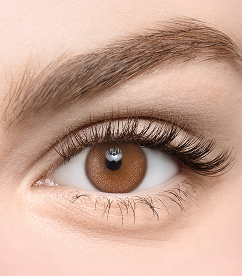 [Toric/Select Period] Torica Toneup Pearl Choco2