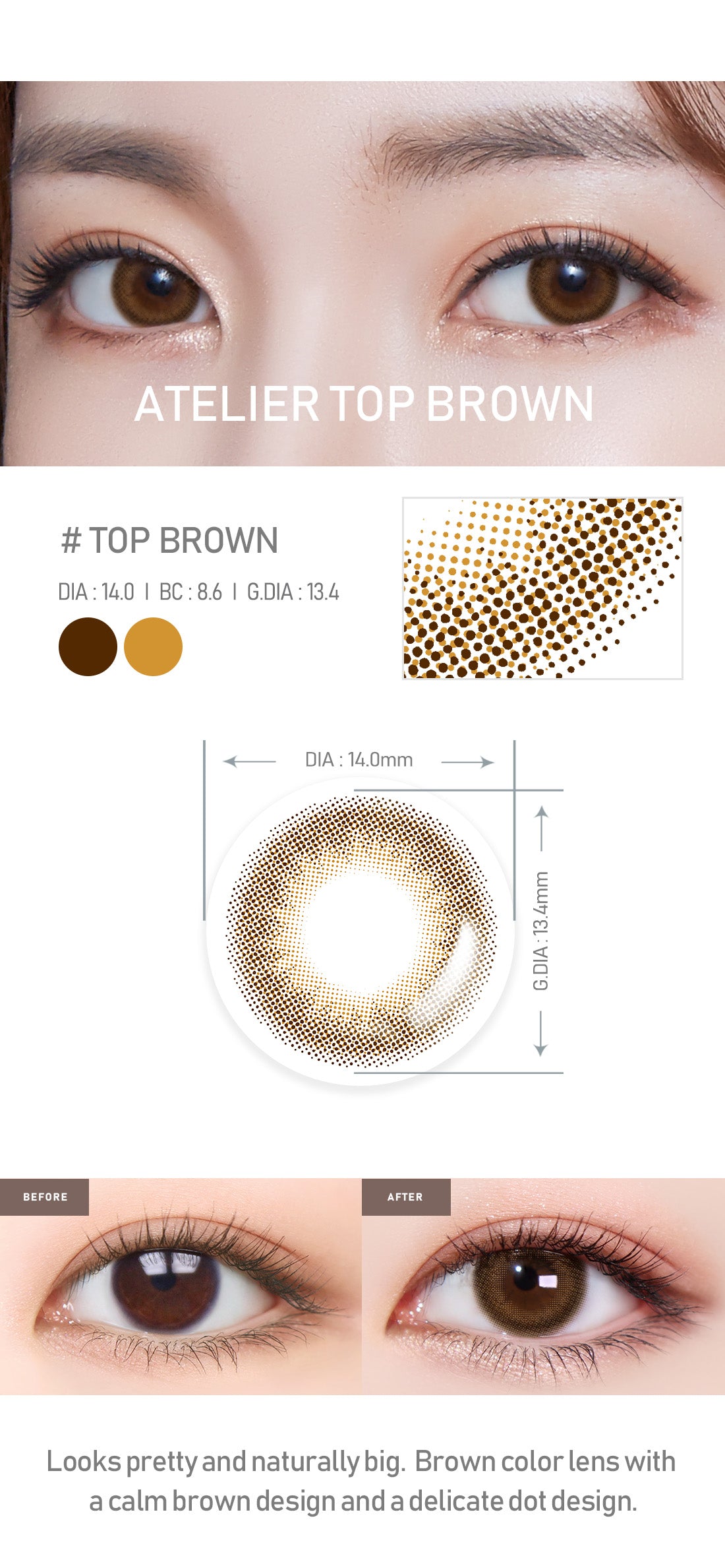 [Toric/Select Period] Torica Top Brown