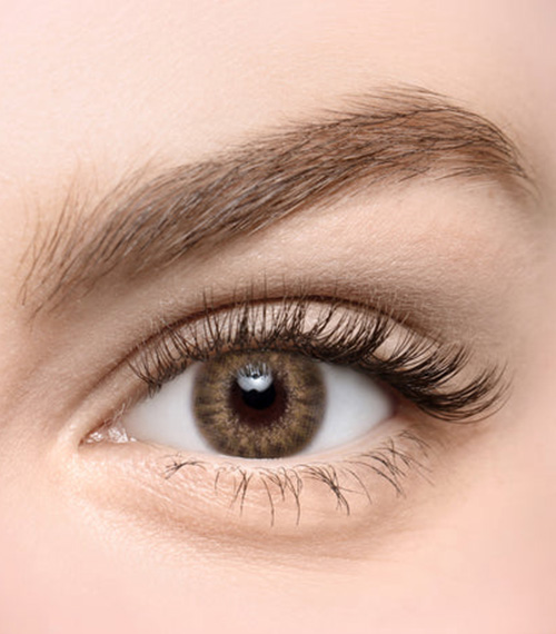 [Select Period] Torica Zinnive Brown2