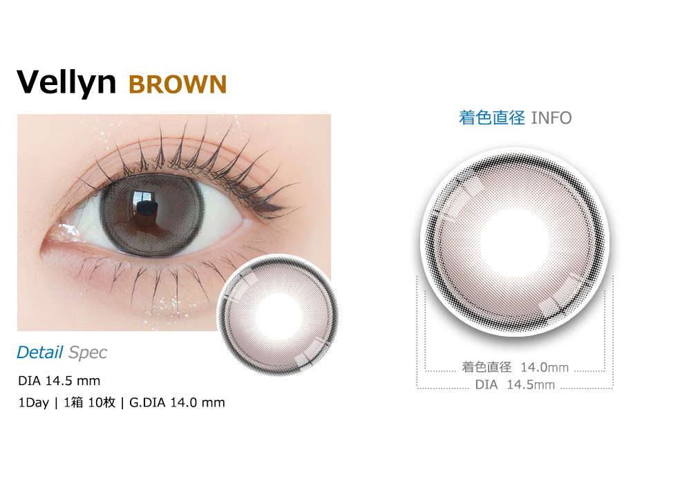 [1-Day] Vellyn BROWN (10pcs)