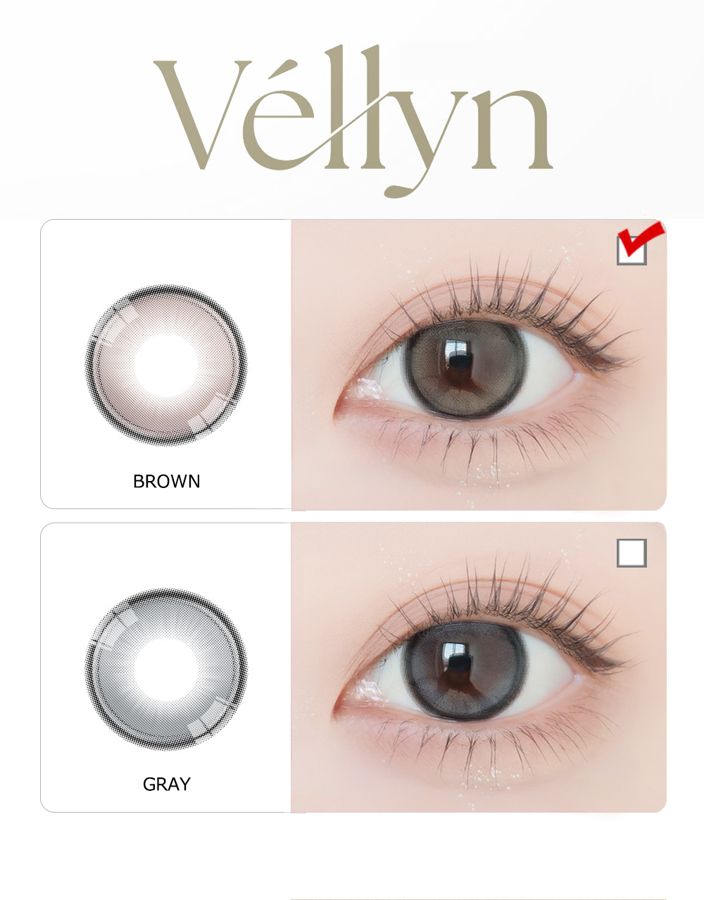 [1-Day] Vellyn BROWN (10pcs)