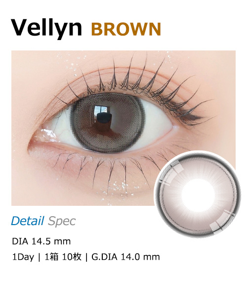 [1-Day] Vellyn BROWN (10pcs)