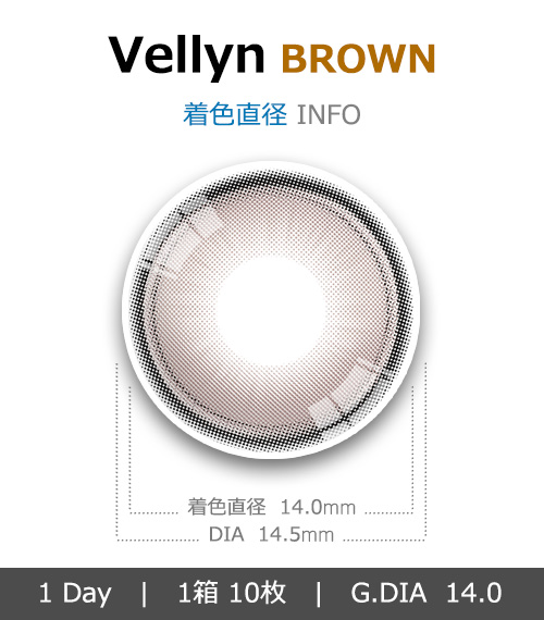 [1-Day] Vellyn BROWN (10pcs)4