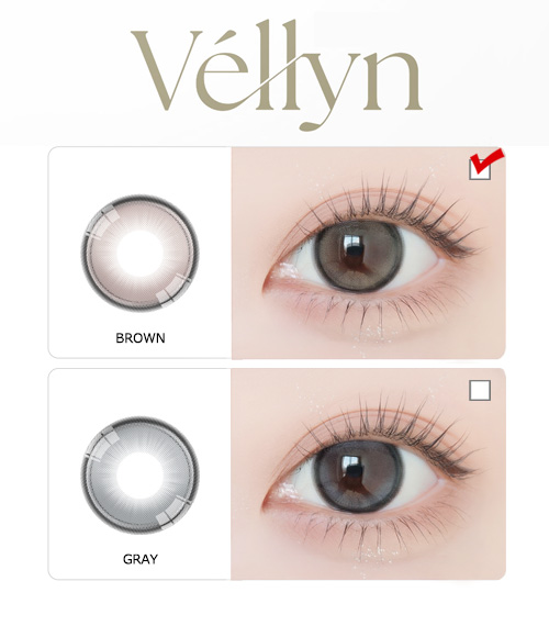 [1-Day] Vellyn BROWN (10pcs)5