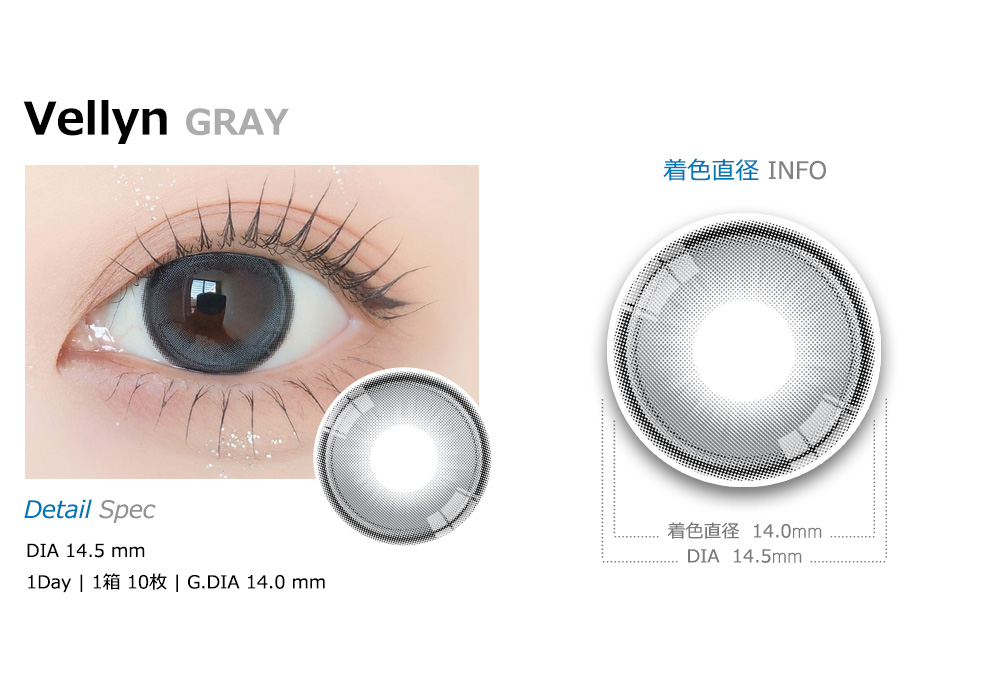 [1-Day] Vellyn GRAY (10pcs)