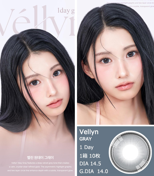 [1-Day] Vellyn GRAY (10pcs)3