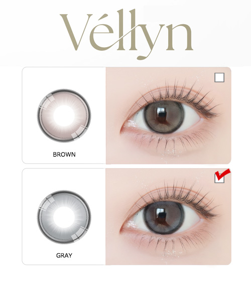 [1-Day] Vellyn GRAY (10pcs)5